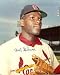 Hall of Fame Baseball St. Louis Cardinals Bob Gibson Signed Autographed 8 x 10 Photograph, Authentic with COA