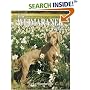 The Weimaraner Today (Book of the Breed S)