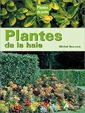 Plantes de la haie