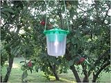 MOTH TRAP - CODLING