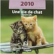 A Cat's Life 7" Small 2010 Nouvelles Images Calendar