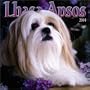 Lhasa Apsos 2004 Calendar
