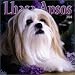 Lhasa Apsos 2004 Calendar