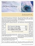 Review The Standish Group International, Inc.  / The World Wide Scam
