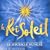 Le Roi Soleil
