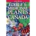 Edible & Medicinal Plants of Canada
