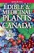 Edible & Medicinal Plants of Canada