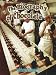 Biography of Chocolate (How Did That Get Here?)
