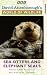 David Attenborough's World Of Wildlife 6 - Sea Otters And Elephant Seals [UK IMPORT]
