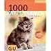 Katzenb�cher - Meine Favoriten
