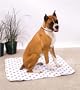 PoochPad for Mature Dogs, Medium 20-Inch by 27-Inch
