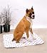 incontinence21 - PoochPad for Mature Dogs XLarge 36Inch by 36Inch