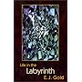 Life in the Labyrinth (Labyrinth Trilogy, Book 2) (Gold, E. J. Labyrinth Trilogy, Bk. 2.)