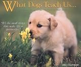 What Dogs Teach Us 2004 Calendar: Life's Lessons Learned from Our Best Friends