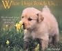 What Dogs Teach Us