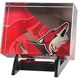 NHL Phoenix Coyotes Team Desk Ornament/Paperweight