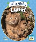 Its a Baby Lynx! (SandCastle: Baby Mammals)