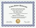 Video Game Videogame Gamer Degree: Custom Gag Diploma Doctorate Certificate (Funny Customized Joke Gift - Novelty Item)