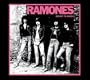 Sheena Is A Punk Rocker (Remastered Single Version)