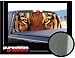 TIGER 22" x 65" - Rear Window Graphic - vinyl truck tint decal