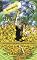 The Lens & The Looker: Book #1 of the Verona Trilogy (History Camp: the Verona Trilogy)