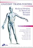 Anatomy Trains Posters