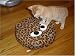 Spotty Leopard - RoomBud iRobot Roomba Costume myRoomBud
