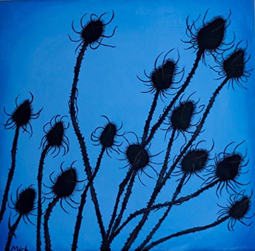 Art Print Dried Flower Pods with a blue sky 11 x 14