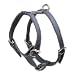 Two-Ply Latigo Dog Harness model 176DS (Black, M: Neck strap adjusts 19-25 in. Chest 28-34 in.)
