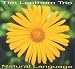 Tim Lapthorn -