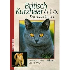 Britisch Kurzhaar & Co.