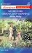 Book My Big Fake Green-Card Wedding (Harlequin American Romance Series)