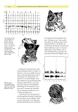 Hundepsychologie: Sozialverhalten und Wesen. Emotionen und Individualität