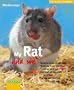 My Rat and Me