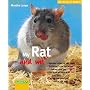 My Rat and Me