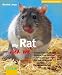 My Rat and Me