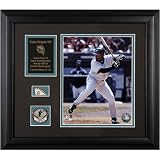 Carlos Delgado Florida Marlins Framed 8x10 Photograph with Game Used 2005 Baseball