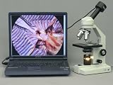 AmScope 40x-2000x Compound Microscope + 1.3MP USB Digital Camera