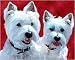 Westie Art Print on Canvas