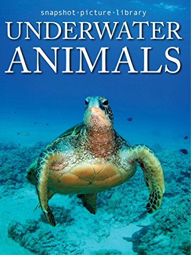 Underwater Animals (Snapshot Picture Library)