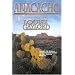 Anacacho (Allie Armington Mysteries)