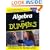 Algebra for Dummies (For Dummies (Lifestyles Paperback))