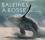 Baleines a bosses