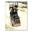 Sleigh Ride - Box Set of 12 Christmas Greeting Cards and matching patterned envelopes