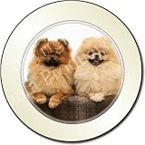POMERANIAN DOGS Tax Disc Holder