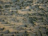 Aerial of Scrubland Dotted with Goat Pens and Thatch Huts Photographic Poster Print, 24x18