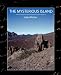 The Mysterious Island (Paperback)