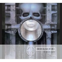 Brain Salad Surgery