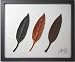 �s�a���A�[�g�t���[���tAGLAONEMA(�A�O���I�l�})/URUSHI�k�a���̘V�ܐ쓇�l