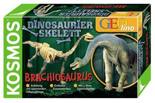 Childrens Toyshop  Spielwaren : Dinosaurierskelett: Brachiosaurus